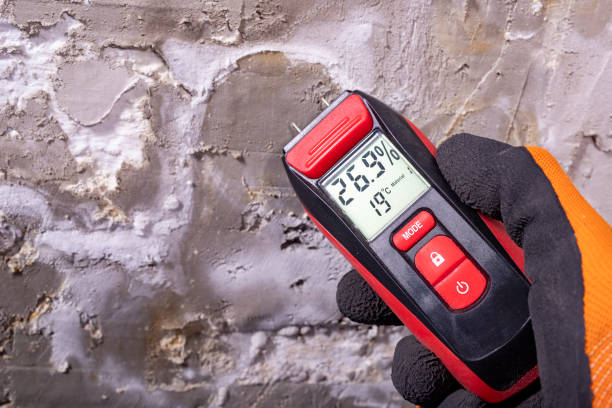 Best Commercial Mold Removal  in Ak Chin Village, AZ